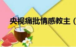 央视痛批情感教主（央视痛批情感教主）