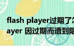 flash player过期了怎么办（adobe flash player 因过期而遭到阻止）