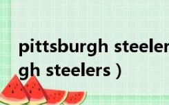 pittsburgh steelers什么意思啊（pittsburgh steelers）