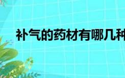 补气的药材有哪几种（补气的药有哪些）