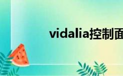 vidalia控制面板（vidalia）