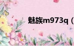 魅族m973q（魅族m9评测）