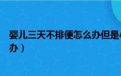 婴儿三天不排便怎么办但是小便正常（婴儿三天不排便怎么办）