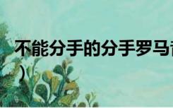 不能分手的分手罗马音（不能分手的分手歌词）