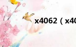 x4062（x402e3217ca）