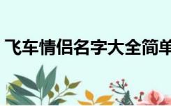 飞车情侣名字大全简单（飞车情侣名字大全）