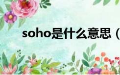 soho是什么意思（soho是什么意思）