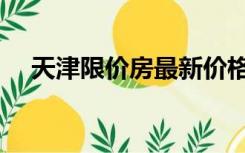 天津限价房最新价格（天津限价房楼盘）