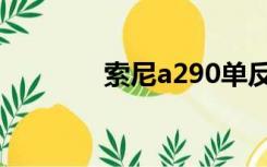 索尼a290单反（索尼a290）