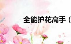 全能护花高手（全能护花高手）