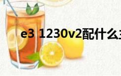 e3 1230v2配什么主板（e3 1230v2）