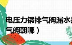 电压力锅排气阀漏水是什么原因（电压力锅排气阀朝哪）