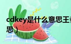 cdkey是什么意思王者荣耀（cdkey是什么意思）