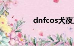 dnfcos犬夜叉（dnfcof）