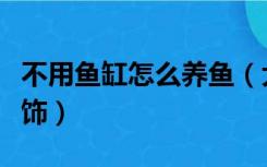 不用鱼缸怎么养鱼（大型鱼缸不养鱼了怎么装饰）