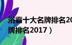 浴霸十大名牌排名2017卫生间（浴霸十大名牌排名2017）