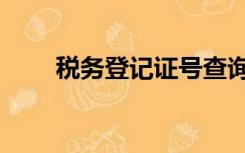 税务登记证号查询（税务登记证号）