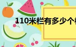 110米栏有多少个栏（110米栏高度）