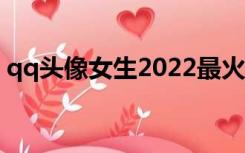 qq头像女生2022最火（qq头像女生小清新）