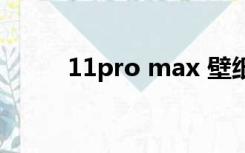 11pro max 壁纸（11pro max）