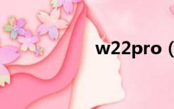 w22pro（w22pro）