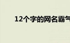 12个字的网名霸气（12个字的网名）