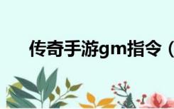 传奇手游gm指令（传奇私服gm命令）