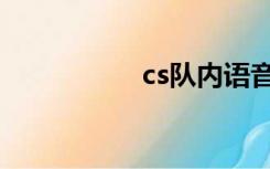 cs队内语音（cs队标）