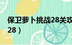 保卫萝卜挑战28关攻略图解（保卫萝卜 挑战28）