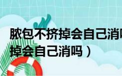 脓包不挤掉会自己消吗快一个月了（脓包不挤掉会自己消吗）