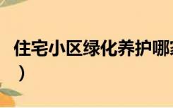 住宅小区绿化养护哪家专业（住宅小区绿化率）