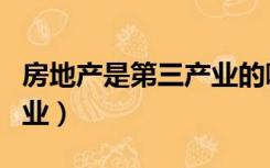 房地产是第三产业的哪一块（房地产是第几产业）