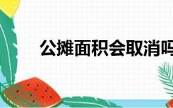 公摊面积会取消吗（公摊面积比例）