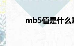 mb5值是什么意思（mb501）