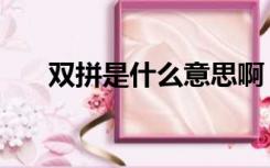 双拼是什么意思啊（双拼是什么意思）