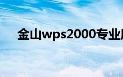 金山wps2000专业版（金山wps2010）