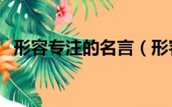 形容专注的名言（形容专注的名言有哪些）