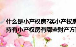 什么是小产权房?买小产权房有哪些风险?（什么是小产权房持有小产权房有哪些财产方面的风险）