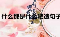 什么那是什么吧造句子二年级（smn是什么）