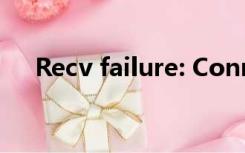 Recv failure: Connection was reset