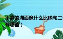 平静的湖面像什么比喻句二年级（平静的湖面像什么比喻句有哪些）