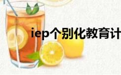 iep个别化教育计划模板（ieplus）