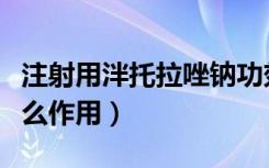 注射用泮托拉唑钠功效（注射用泮托拉唑钠什么作用）