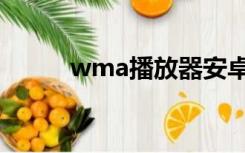 wma播放器安卓（wma播放器）