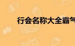 行会名称大全霸气（行会名字大全）