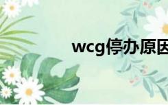 wcg停办原因（wcg停办）