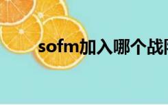 sofm加入哪个战队（sofm加入sn）