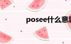 posee什么意思（posedge）