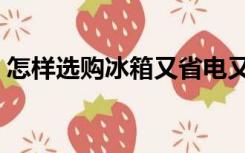 怎样选购冰箱又省电又好用（怎样选购冰箱）