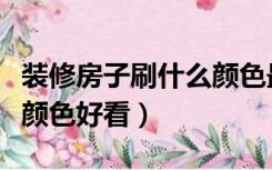 装修房子刷什么颜色最好看（装修房子刷什么颜色好看）